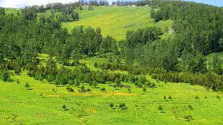 《传奇世界》道具用途全解析：助你驰骋沙城的制胜秘籍！ 海报