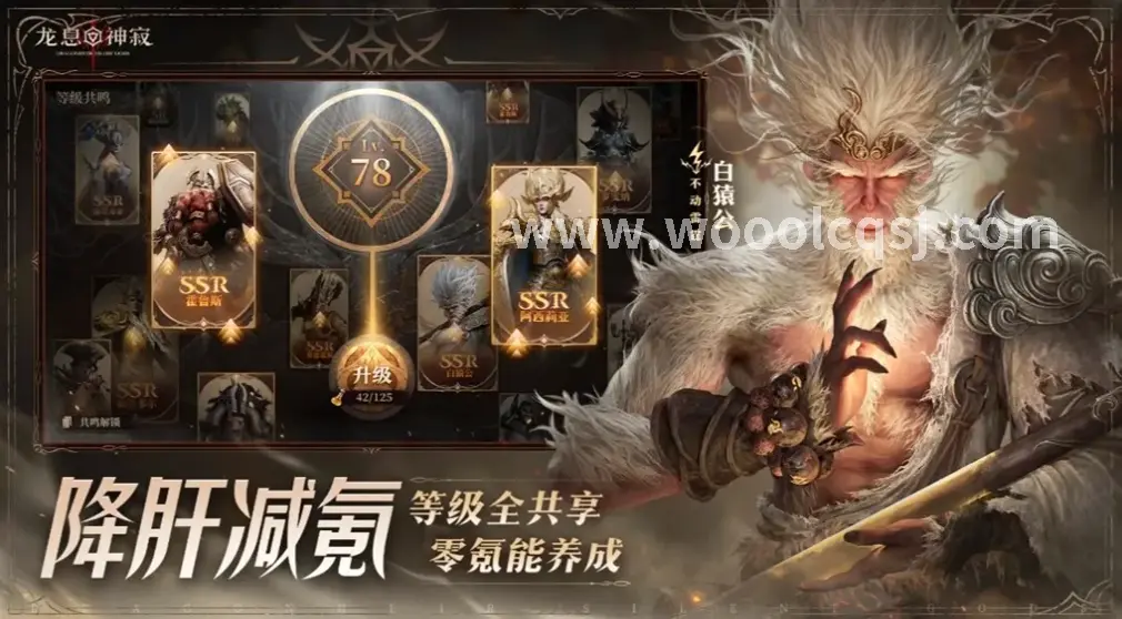 新手玩家的起点